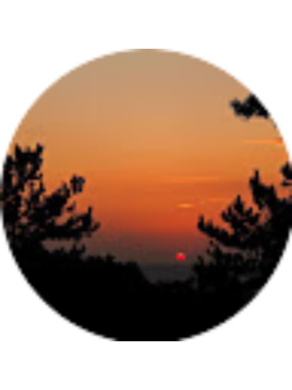 Photo of Ege Tanyeri