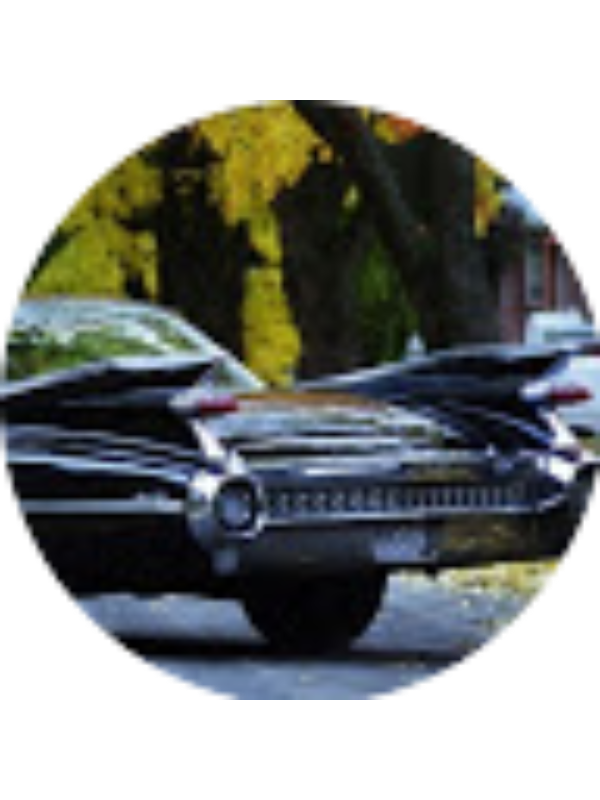 Photo of William Clemens  (STUDENT)