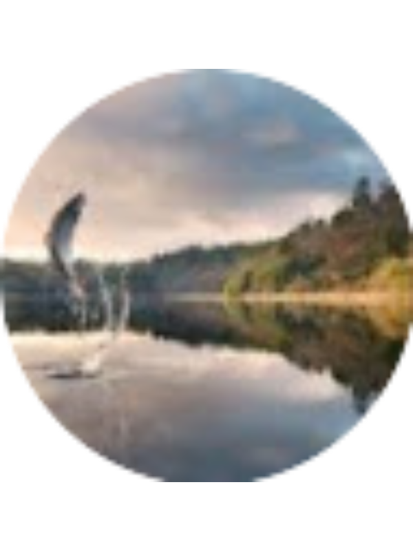 Photo of Jack Seymour