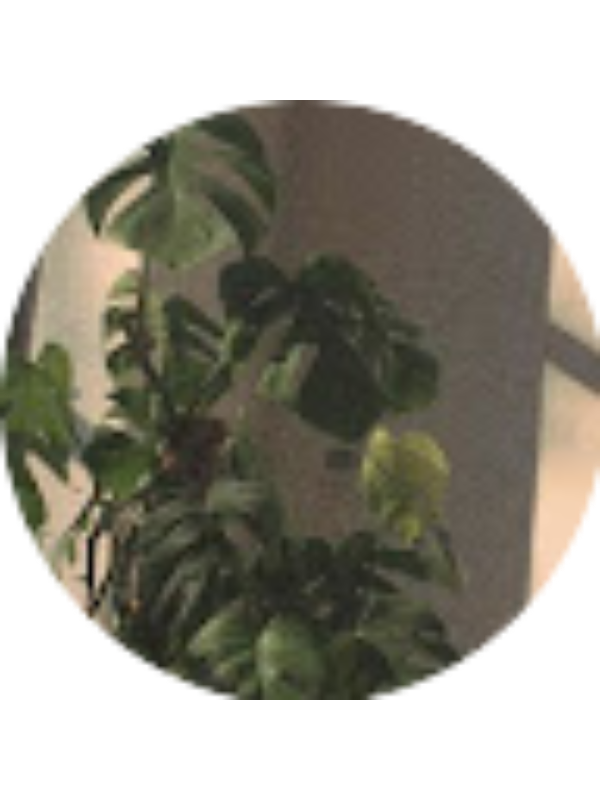 Photo of Siti Syarafana