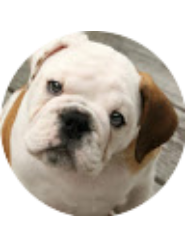 Photo of Isaac Silva C