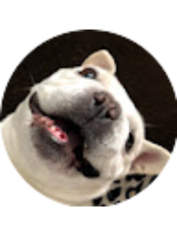 Photo of LILLIE CHARALAMBOUS