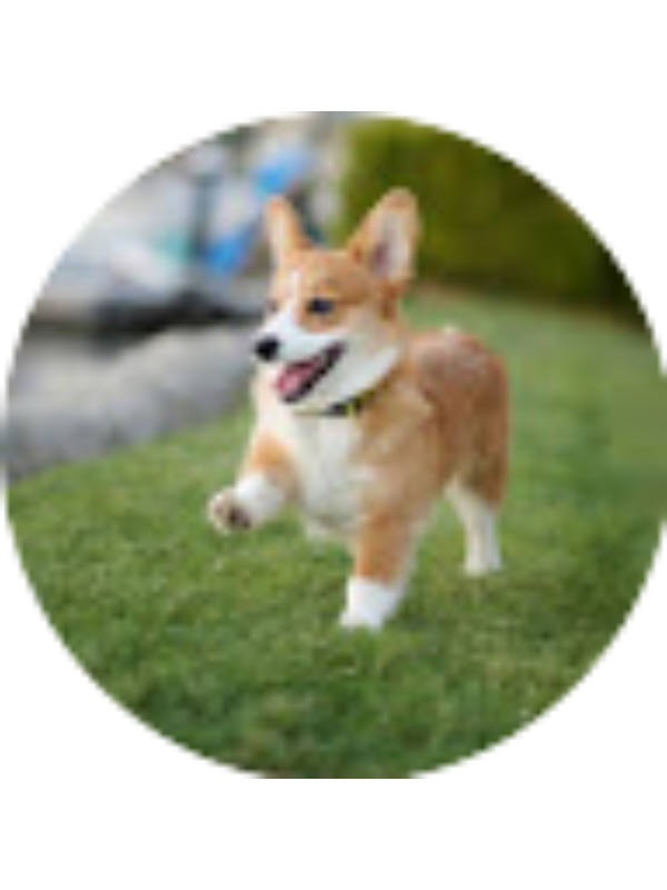 Photo of Abdullaah Baawazir