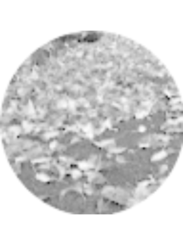 Photo of David Mindiolaza