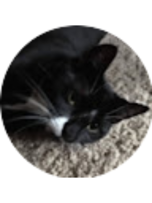 Photo of Abigail Damsker