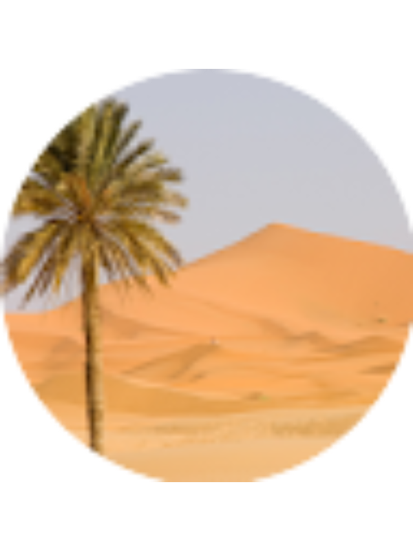 Photo of NICOLE HARPER