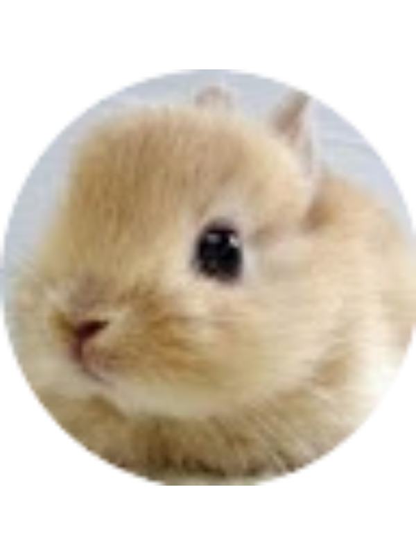 Photo of Sanarya Alamar