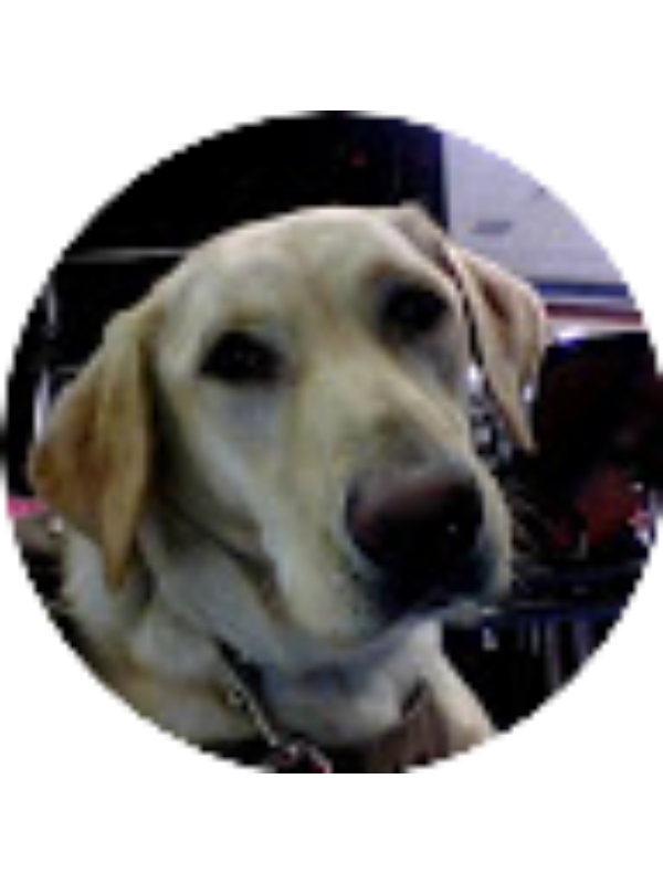 Photo of Kaitlyn Ennis