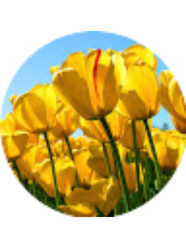 Photo of Ander Aristi