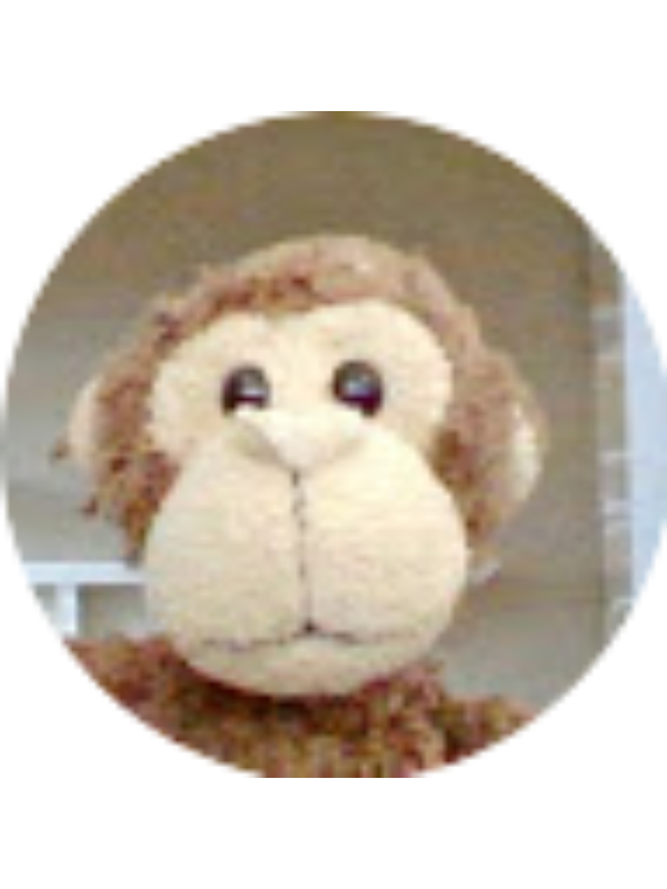 Photo of Jonathan Vadala