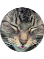 Picture of Rexm2660 Rexm2660