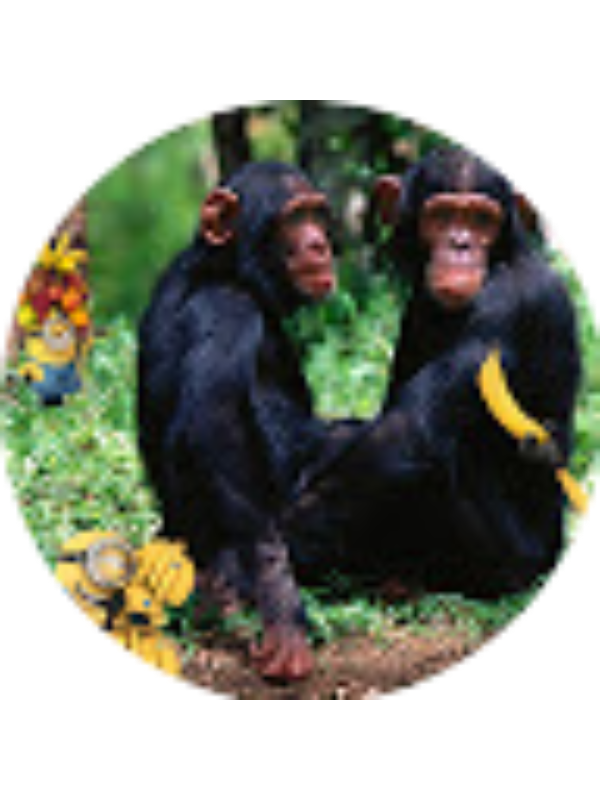 Photo of Ranya Ettachfini (student)