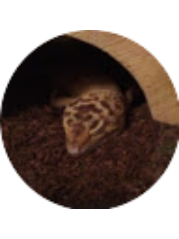 Photo of Eldon Rosas-Duke