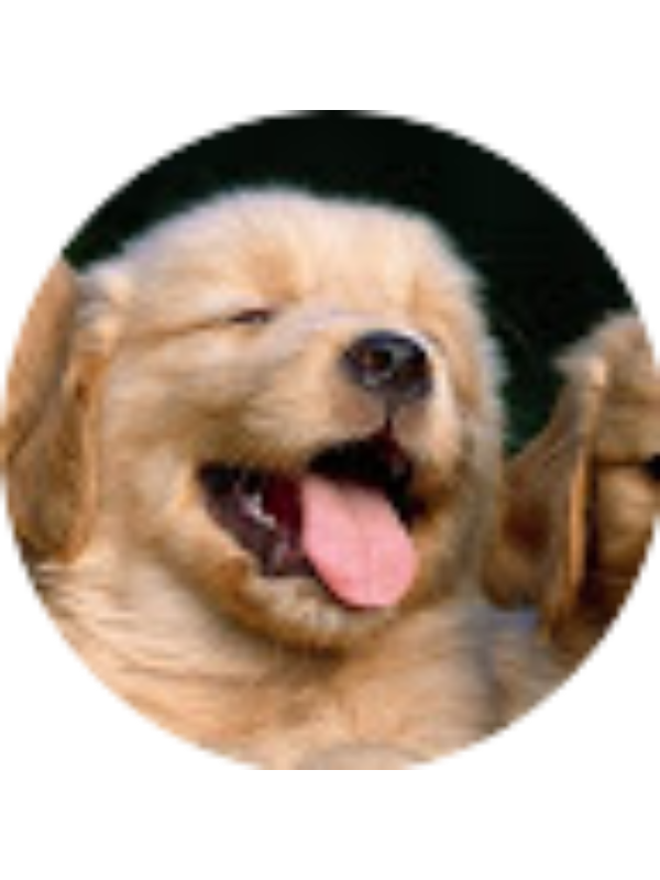 Photo of Kadence Kenyon