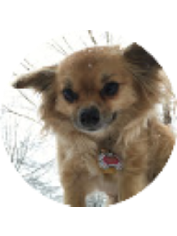 Photo of Kelli San Souci