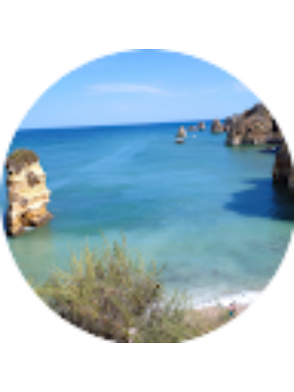 Photo of Paula Cristina Correia Neves Balisa