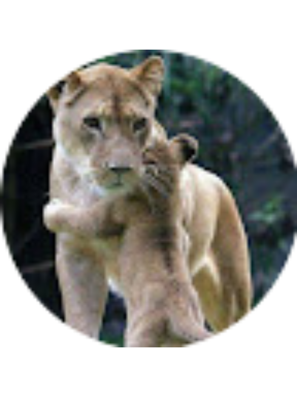 Photo of Anubha Sharma