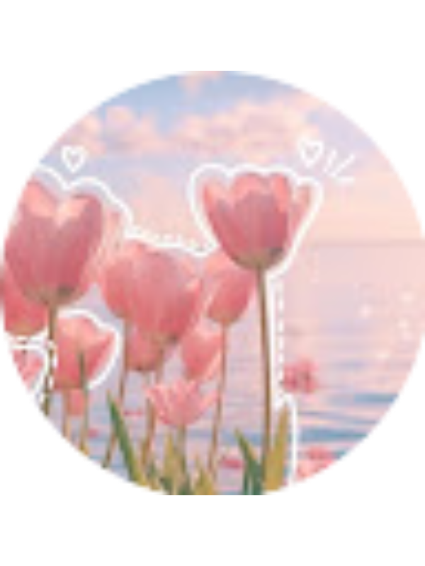 Photo of DAYRA SOLANGE SILVA JIMENEZ