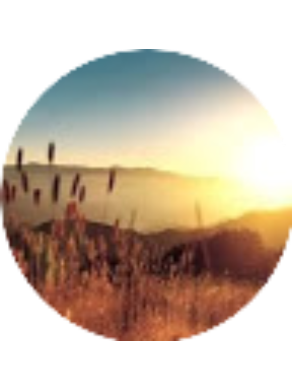 Photo of Hillary Kitchen