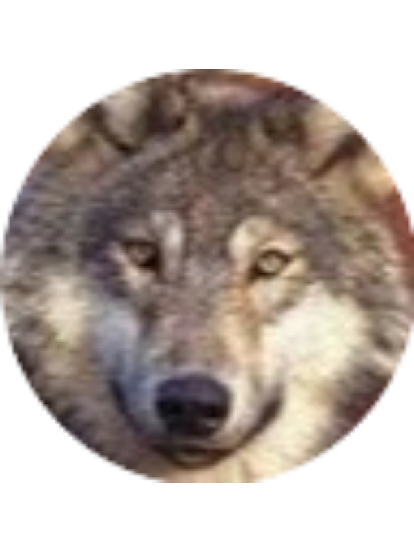 Photo of Yussef Bakko