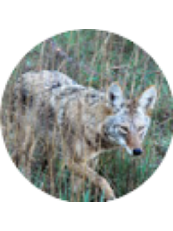 Photo of Hailey Barger