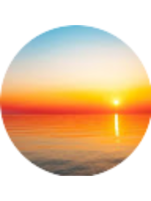 Photo of Abrar M Elhewizy