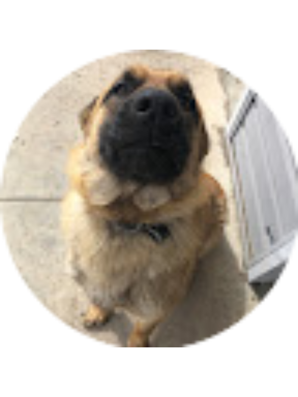 Photo of Brayden Fehr