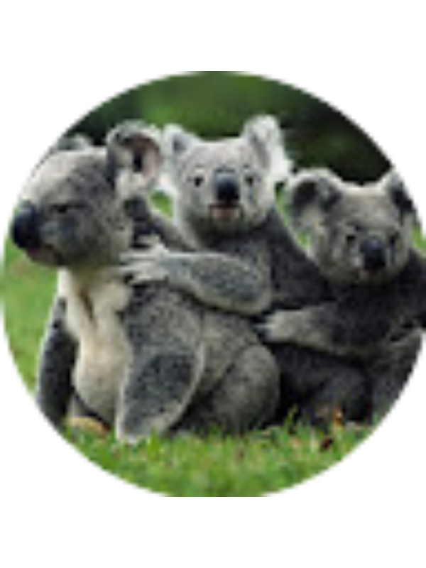 Photo of Brenna Thomas