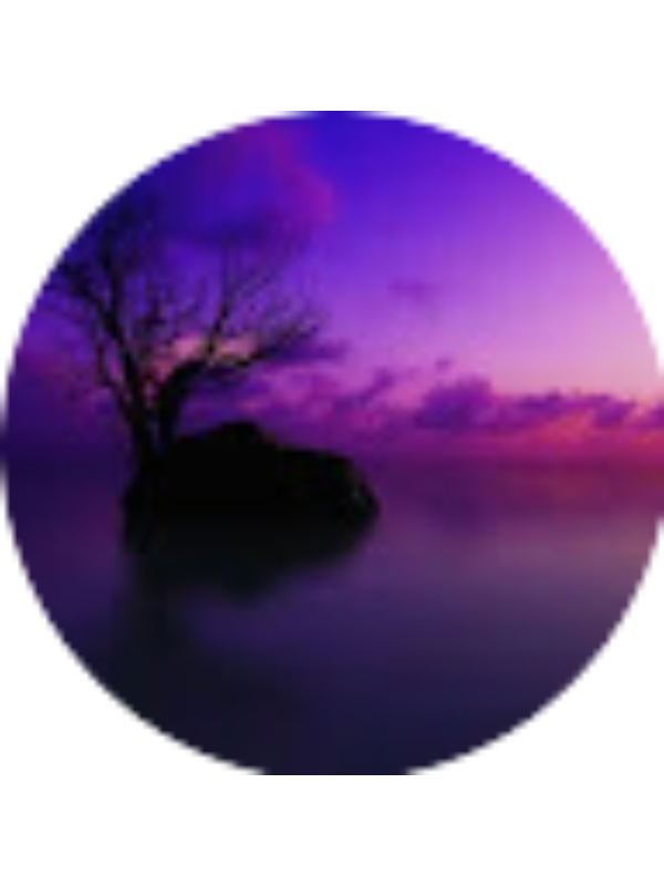 Photo of Gheorghe Bianca