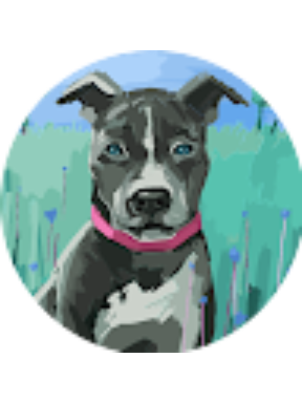 Photo of Maria Silva