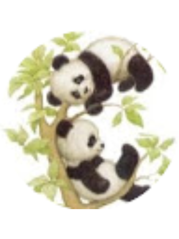 Photo of Brandon Dryer