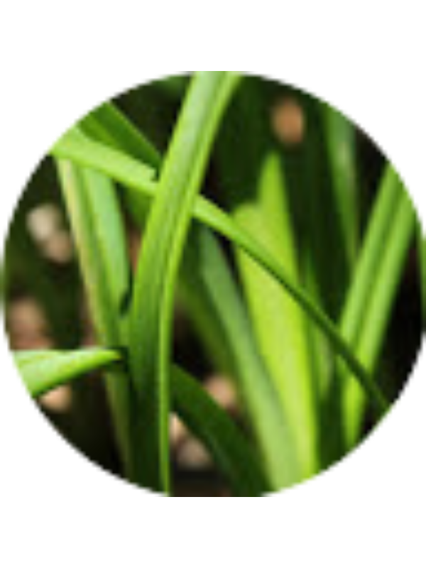 Photo of Colleen Berry