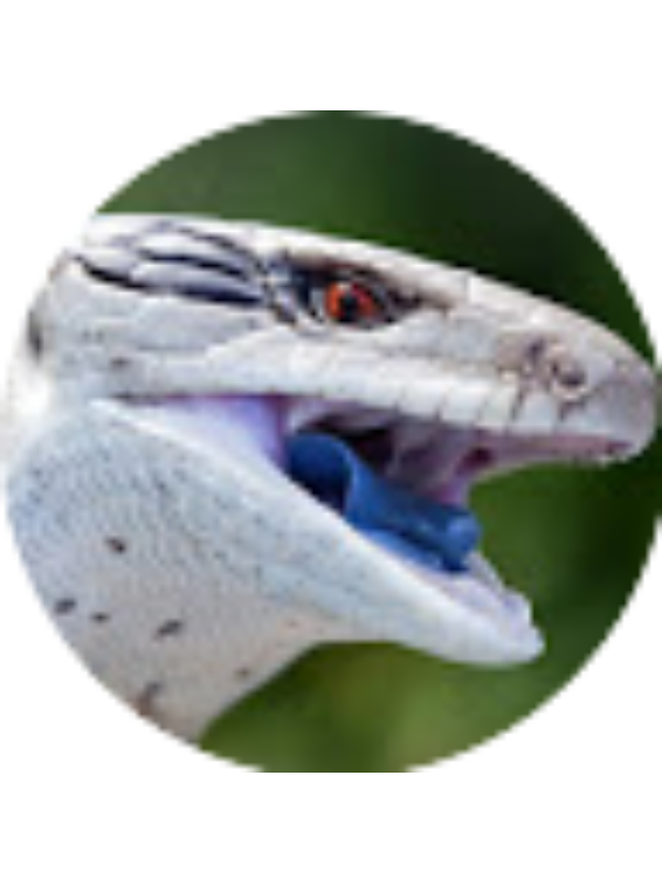 Photo of Andrew Stone