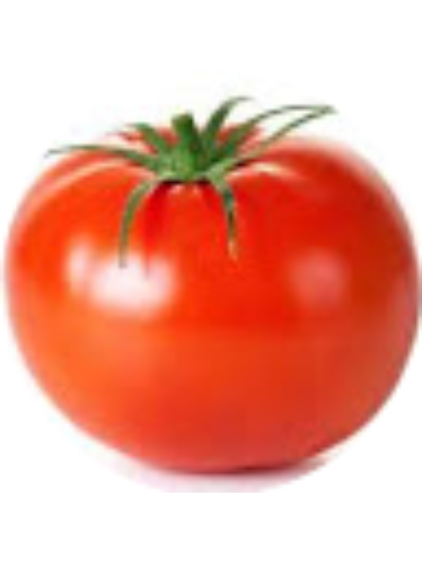 Photo of Tayson S Roth