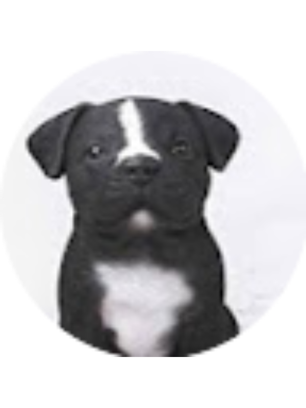 Photo of Charlotte Simon