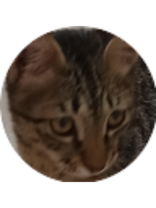 Photo of 黃柏勛 應用英語系