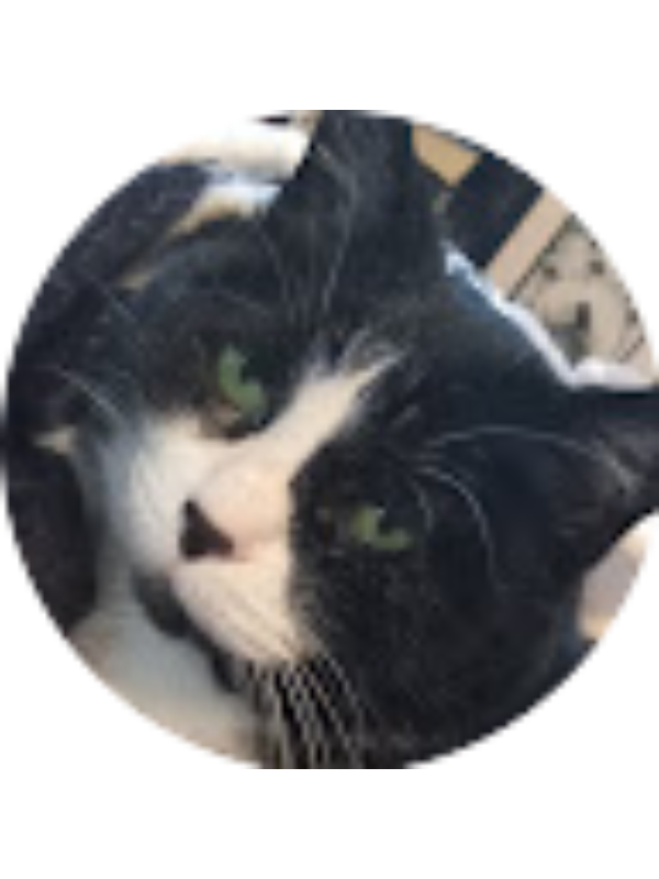 Photo of Elizabeth Deer