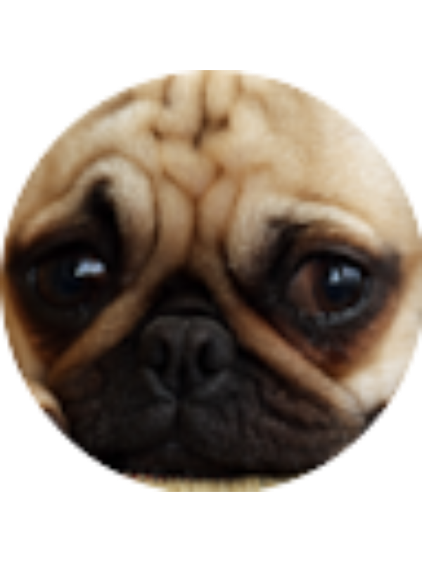 Photo of Rylie Calme (student)