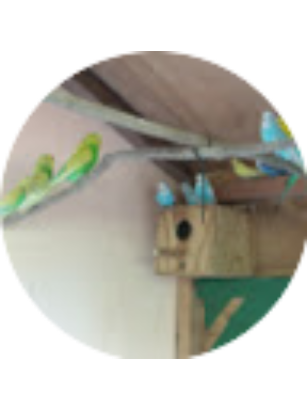 Photo of Modica Bascombe