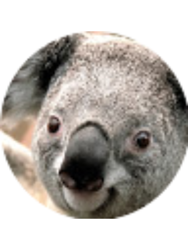 Photo of Dymond Mulloy