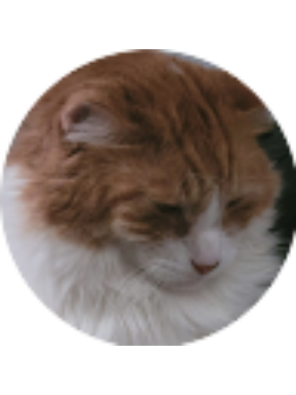 Photo of Cailyn Abel