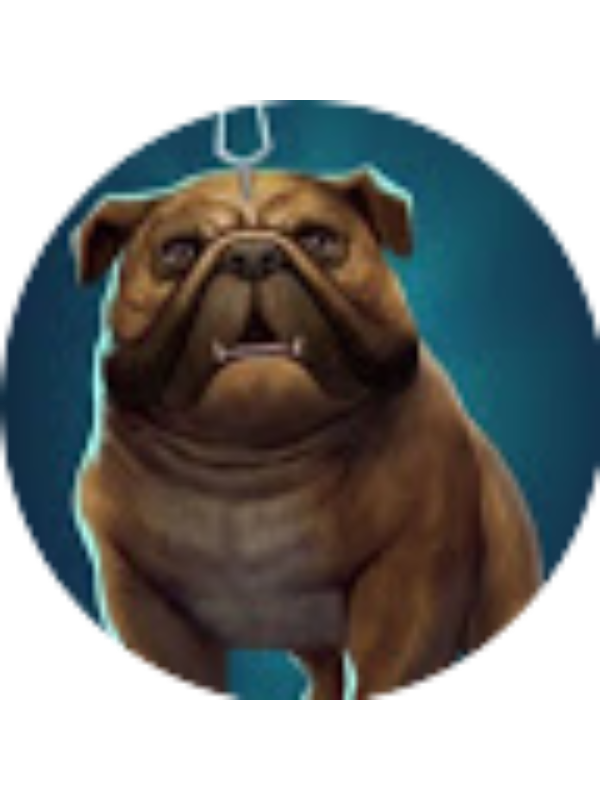 Photo of Thomas Zawacki Fung