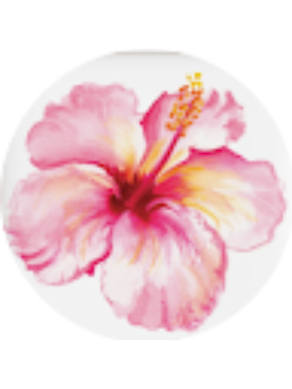 Photo of Damaris Garcia