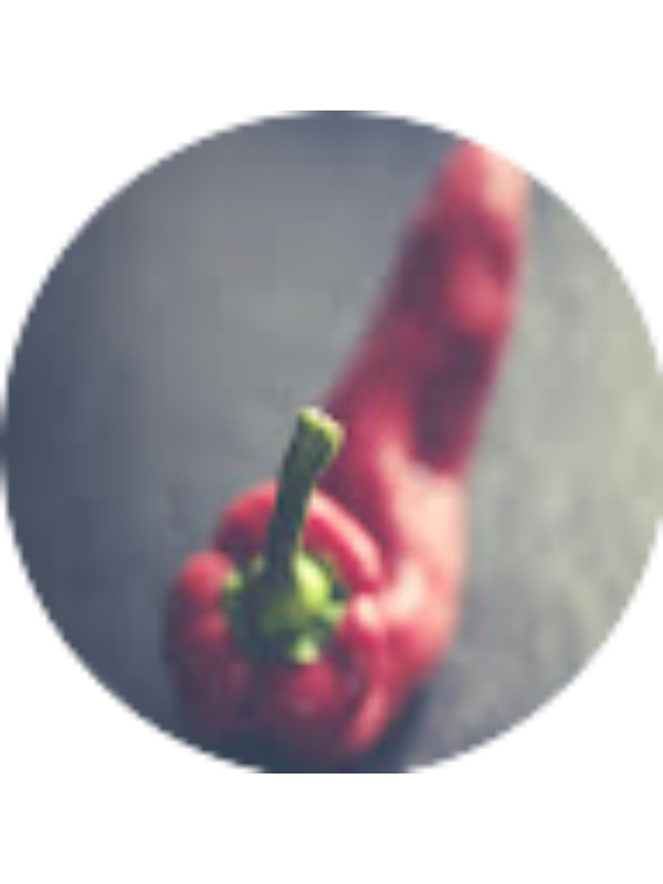 Photo of Annisa Sucianda