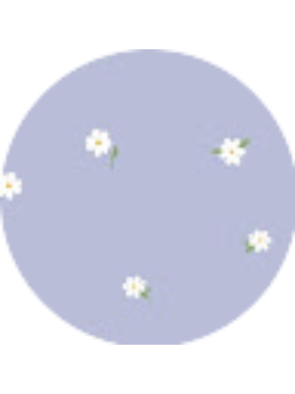 Photo of Courtney Beiswanger