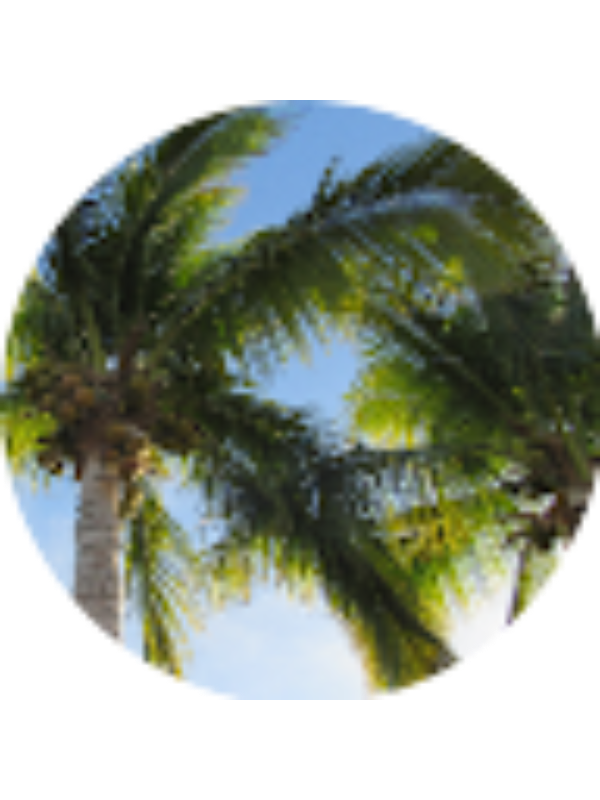 Photo of CALI MITCHUM