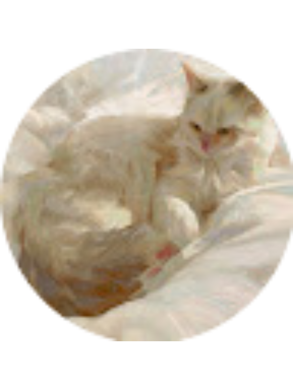 Photo of ciroescudero07