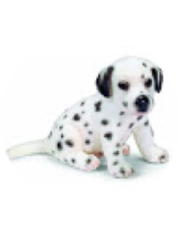 Photo of Makenna Hall-Student