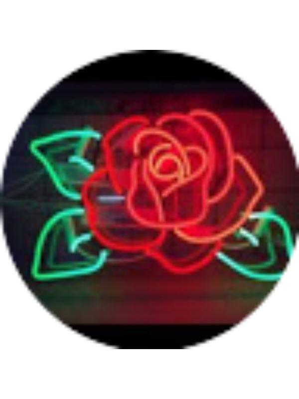 Photo of FRANCES KELLY