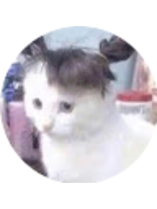 Photo of Sara Sadeghi